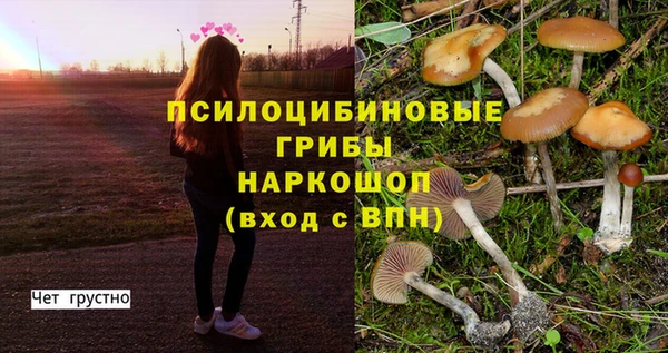 MDMA Алексеевка