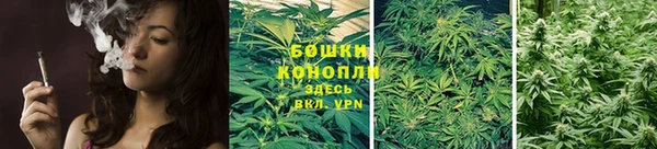 mdpv Рославль