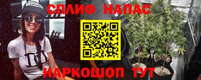 гидра Волжский