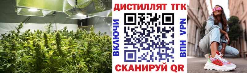 ТГК Wax  Железноводск 