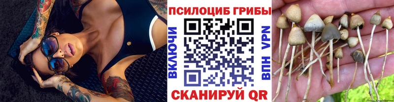 где найти   KRAKEN ссылка  Псилоцибиновые грибы Psilocybe  Железноводск 