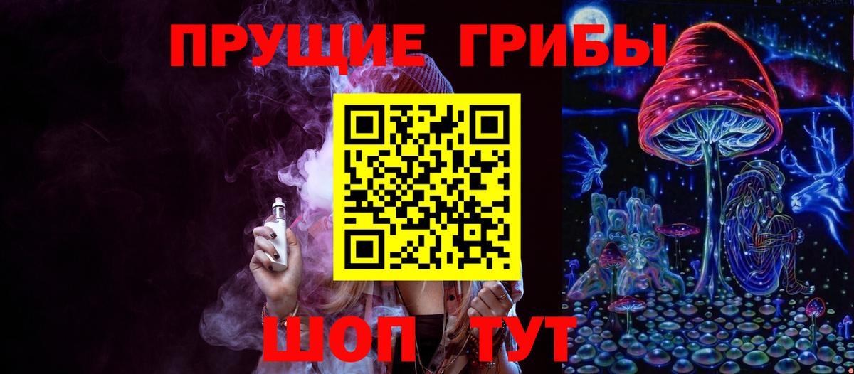 Галлюциногенные грибы Psilocybe Железноводск